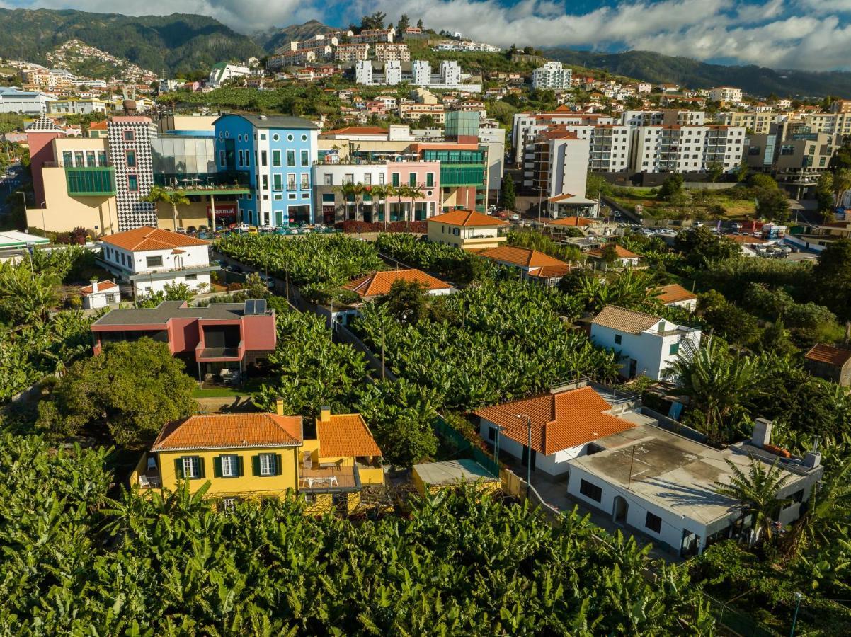 Casa D'Avo Celina Villa Funchal  Exterior foto
