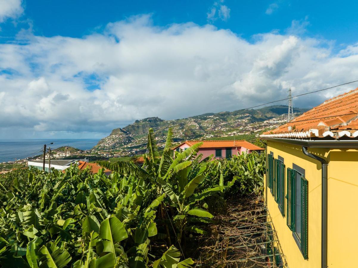 Casa D'Avo Celina Villa Funchal  Exterior foto